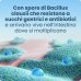 Enterogermina&reg; 4 Miliardi 10 Flaconcini