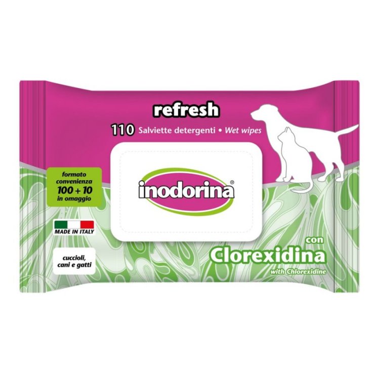 INODORINA SALVIETTE REF CLOREX 110PZ