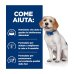 Hill's Prescription Diet z/d Low Fat Alimento Per Cani All'Idrolizzato Di Soia 1,5 KG