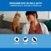 Frontline Spot On Gatti 3 Pipette Antiparassitarie