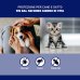 Frontline Spray Antiparassitario per Cani e Gatti 100 ml