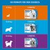 Frontline Spot On Cani (20-40 Kg) 3 Pipette