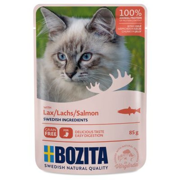 N.F. NAT CAT MULTIPACK TUNA 85X12 X4