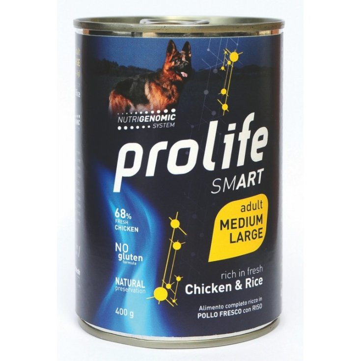 Smart Adult Medium/Large Chicken & Rice Umido - 800GR
