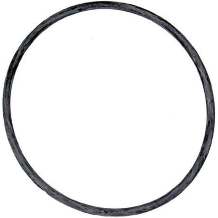 TETRATEC EX 600/700 O-RING TESTATA