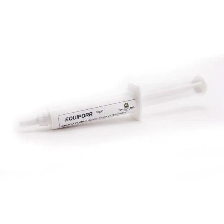 EQUIPORR 10G