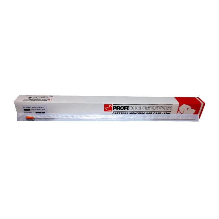 PV CATETERE VESC CANE 2X500