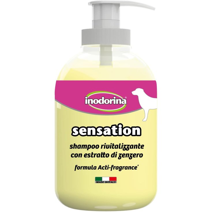 INODORINA SENSATION RIVITALIZZANTE 300 M