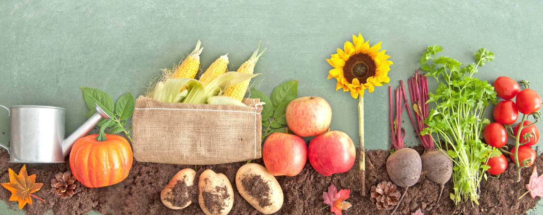 Che cosa sono gli alimenti biologici e come vengono prodotti?