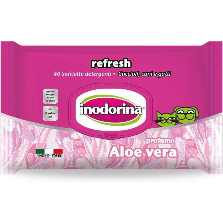 INODORINA SALVIETTE REF ALOE VERA 110PZ