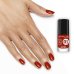 Cofanetto Natale Urban Jungle R/T&nbsp;Maybelline NY