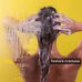 Frequent Use Gentle Daily Shampoo Apivita 500ml