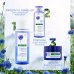 Crema D'Idratazione Notte Al Fiordaliso Bio Klorane 50ml