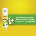 FOILLE INSETTI REPELLENTE EX