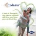 Colesia&reg; IBSA 60 Capsule Molli