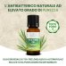 Australian Tea Tree Oil 10ml