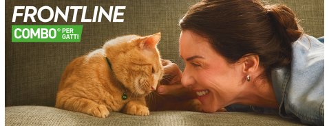 Il gatto che vive in casa va comunque protetto? Il gatto che vive in casa va comunque protetto?