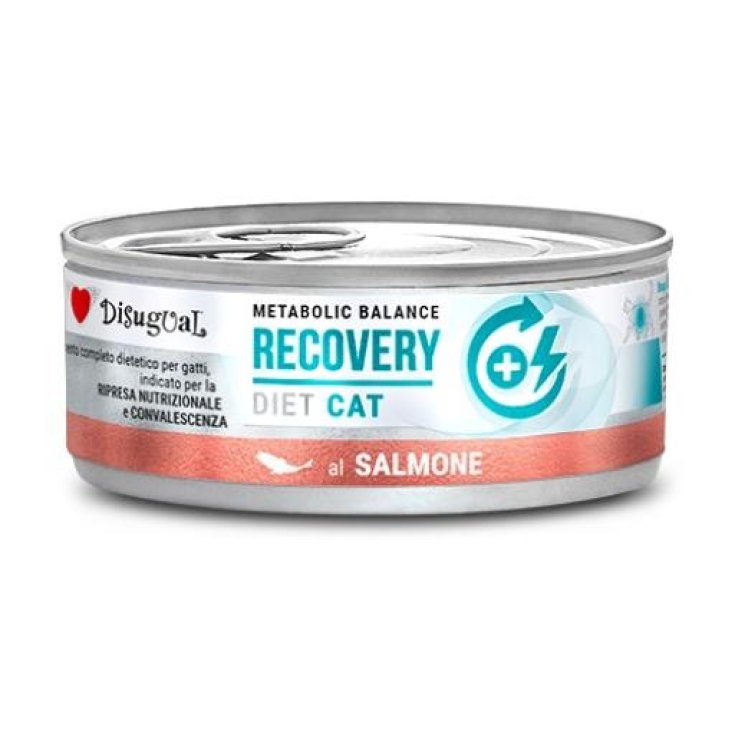 DISUGUAL CAT RECOVERY SALMONE 85G