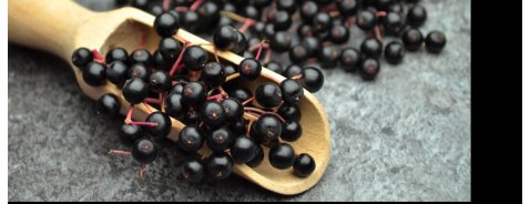 Che proprietà ha il sambuco nero?