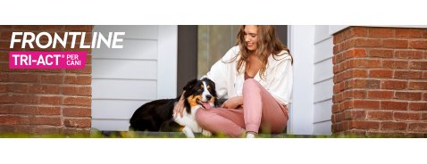 Estate senza pensieri: come proteggere i tuoi pet dagli insetti volanti