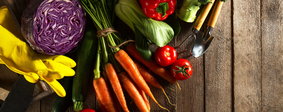 Cosa non mangiare se si soffre di omocisteina alta