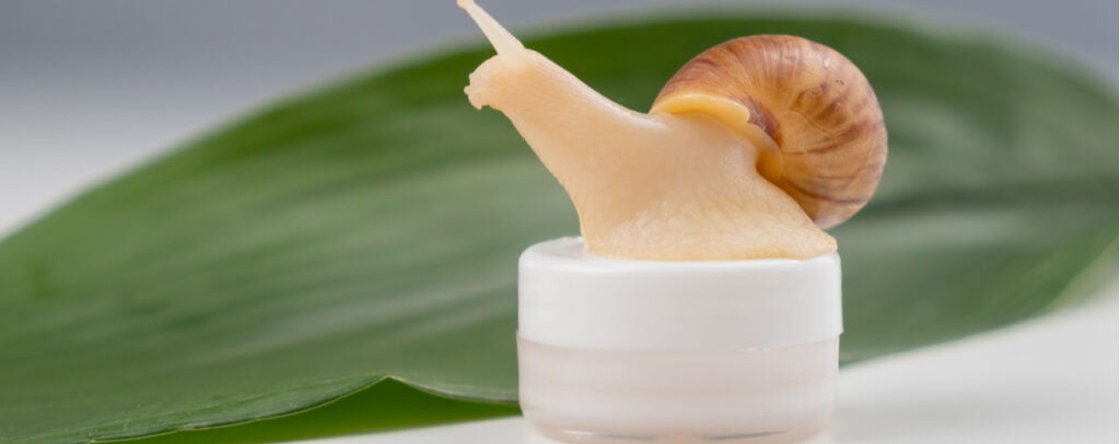 Come si usa la crema alla bava di lumaca: la guida completa