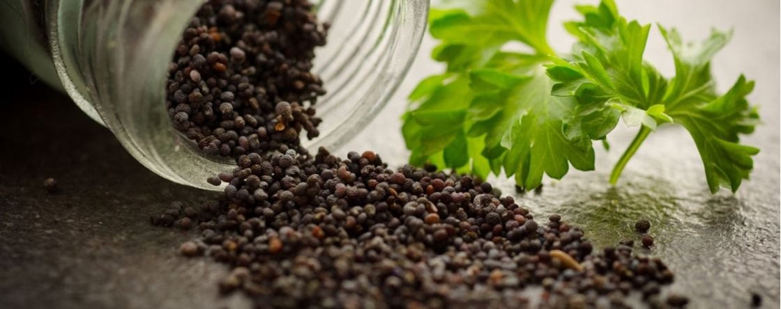 Piperina per dimagrire: aiuta davvero a perdere peso?