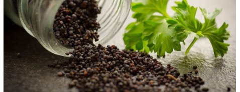Piperina per dimagrire: aiuta davvero a perdere peso? Piperina per dimagrire: aiuta davvero a perdere peso?