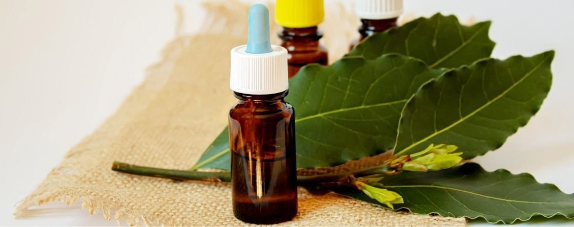 Tea Tree Oil: a cosa serve, usi, benefici e controindicazioni