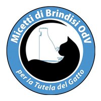 Micetti di Brindisi