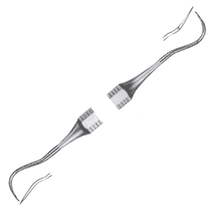 RASCHIATARTARO INOX SX
