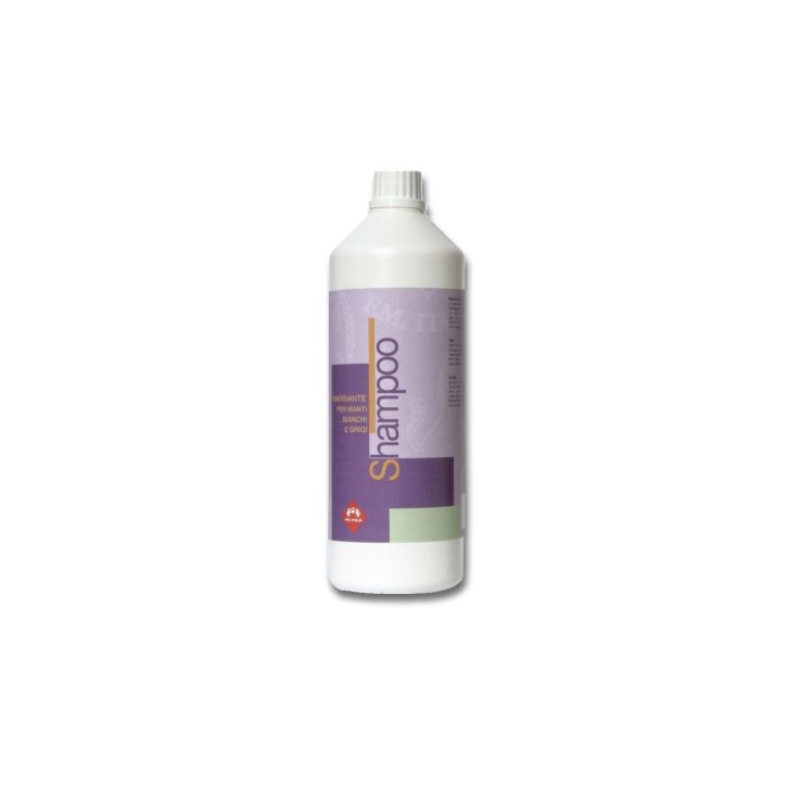 SHAMPOO MANTI GRI 1000ML