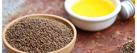 Quali sono i benefici dell'olio di Perilla