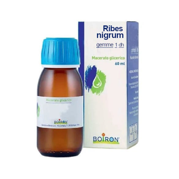 Ribes Nigrum Gemme 1dh MG Boiron 60ml Ribes Nigrum Gemme 1dh MG Boiron 60ml