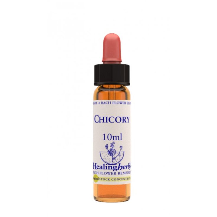 Chicory Bach Flower Remedy HealingHerbs Natur 10ml