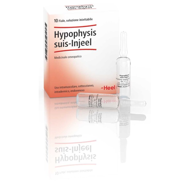 Hypophysis Suis-Injeel Heel 10 Fiale Da 1,1ml Hypophysis Suis-Injeel Heel 10 Fiale Da 1,1ml