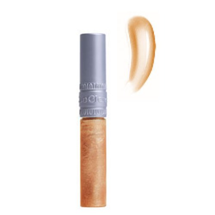 Lip Gloss 18 Reflet D'Or&nbsp;T. LeClerc