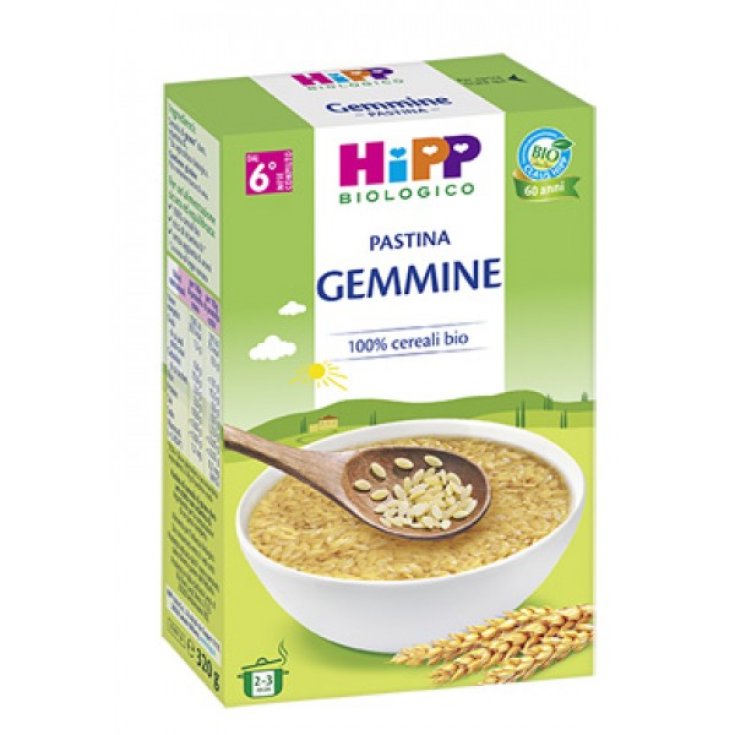 Gemmine Pastina HiPP Biologico 320g
