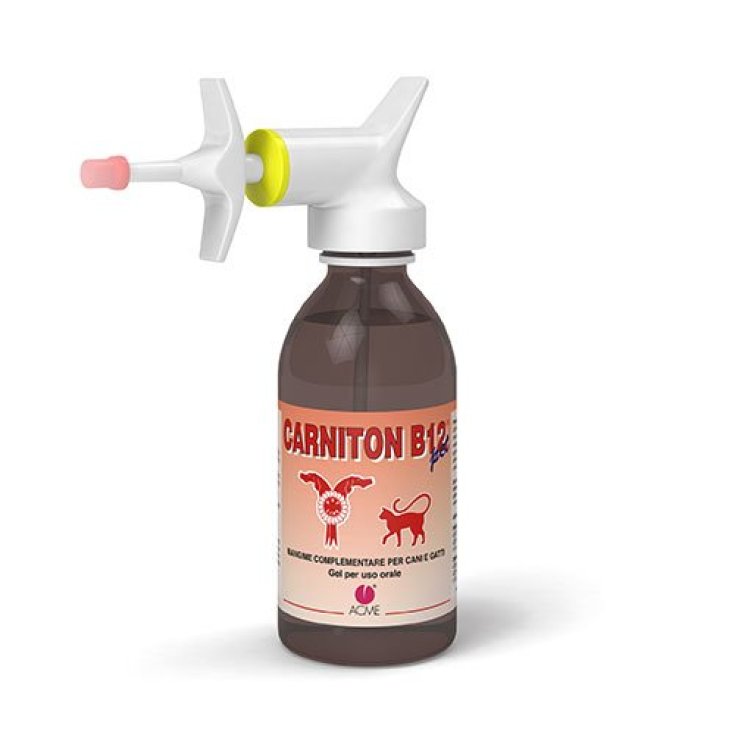 Carniton B12 Gel Acme 125ml
