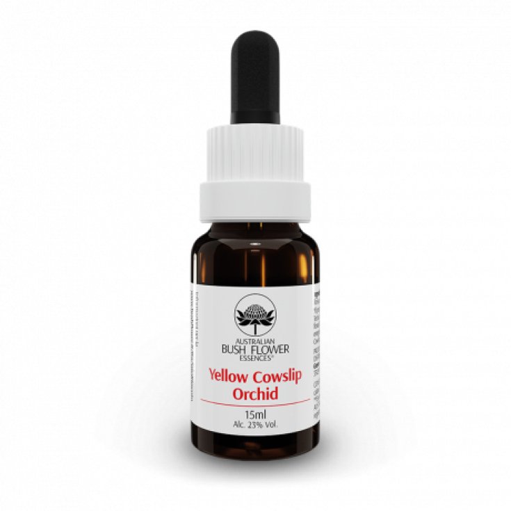 Yellow Cowslip Orchid Australian Bush Flower Essences 15ml