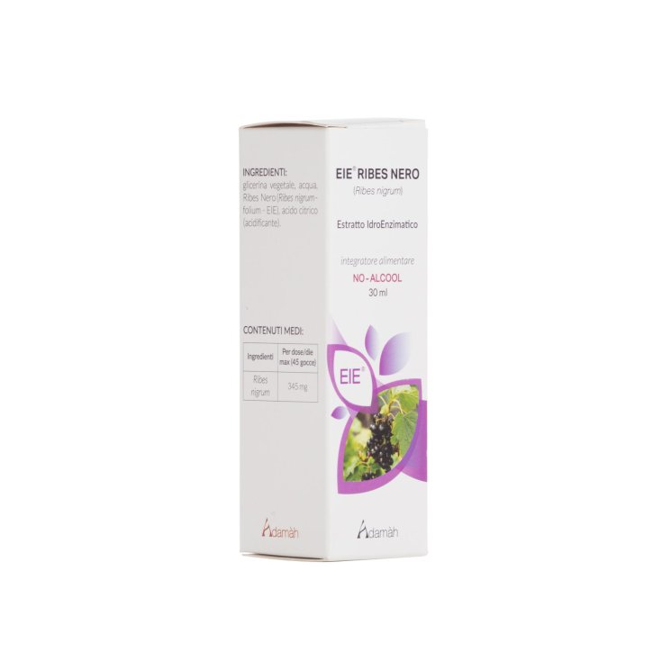 Ribes Nero Estratto Idroenzimatico Adamah 30ml