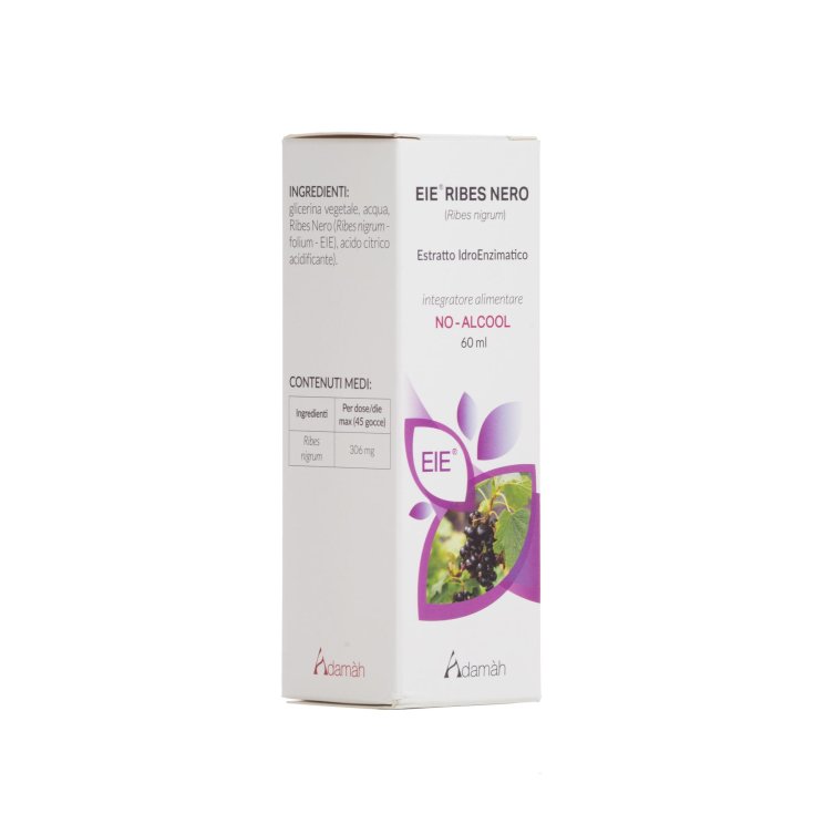 Ribes Nero Estratto Idroenzimatico Adamah 60ml