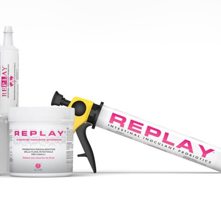 Replay Pasta Orale ACME 100g
