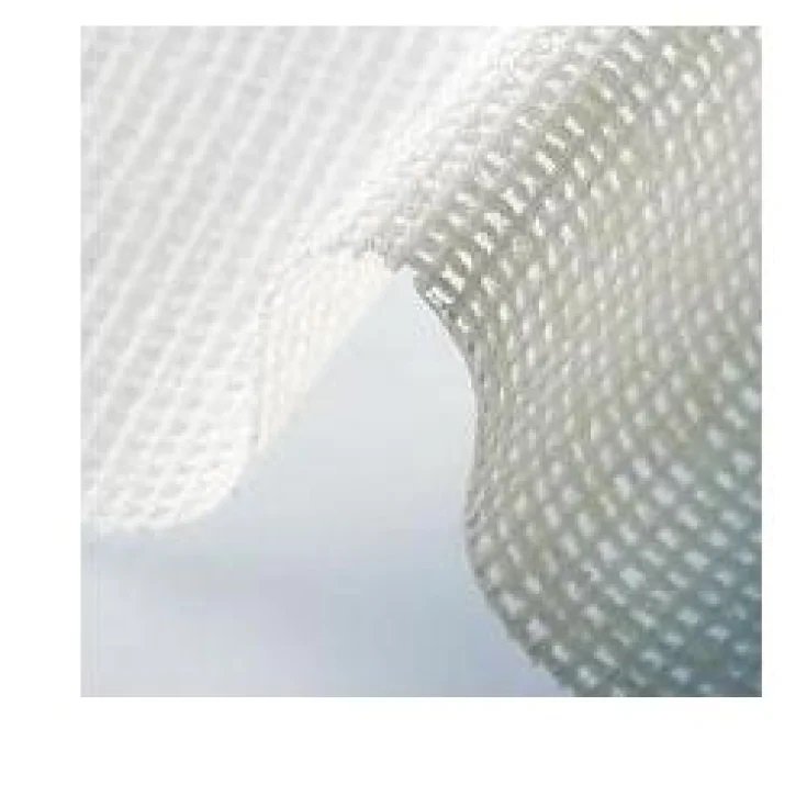 Physiotulle 3910 10x10cm Coloplast 10 Pezzi