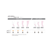 Autoreggente Daino Tg.5&nbsp;Ladygloria 24 GloriaMed