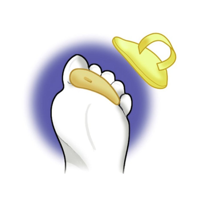 Cuscinetto Dita Martello M Zanni® 1 Pezzo