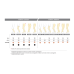 Gambaletto CCL1 Beige Max Tg.L Corto Comfort 142 GloriaMed