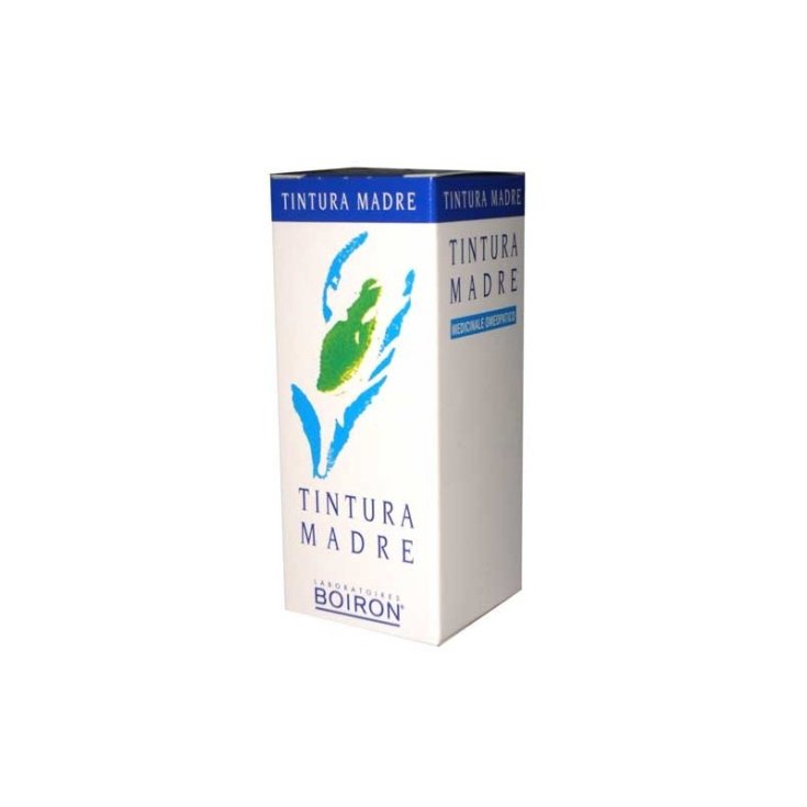 Cynara Scolymus TM&nbsp;Boiron 60ml