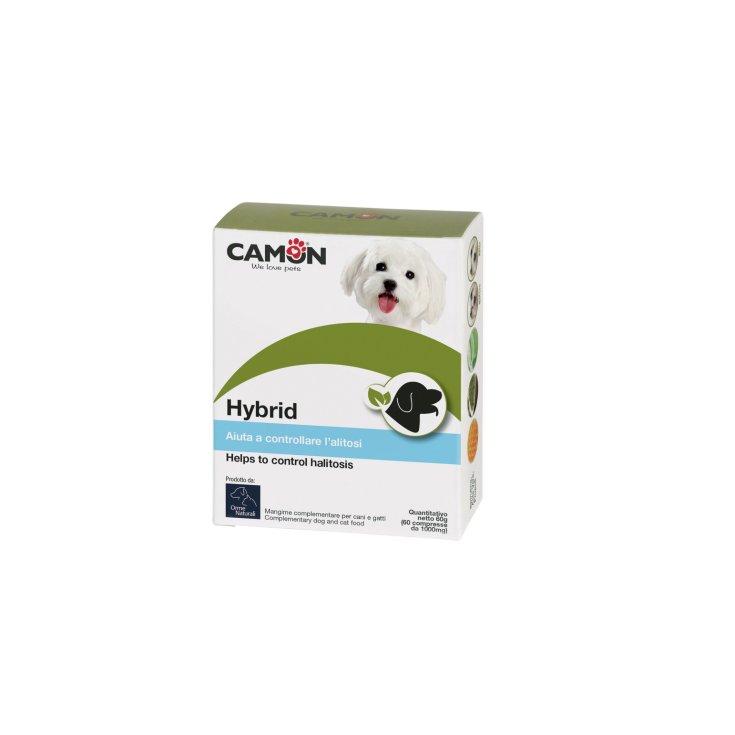Hybrid - da 60 CPR