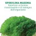 Spirulina Maxima Colours Of Life&reg; Optima Naturals 60 Compresse